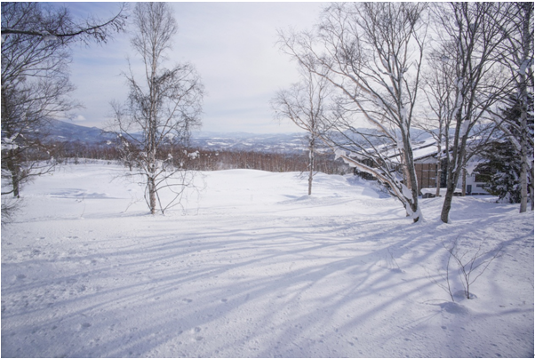 在飘雪的北海道，给你寄一份情书