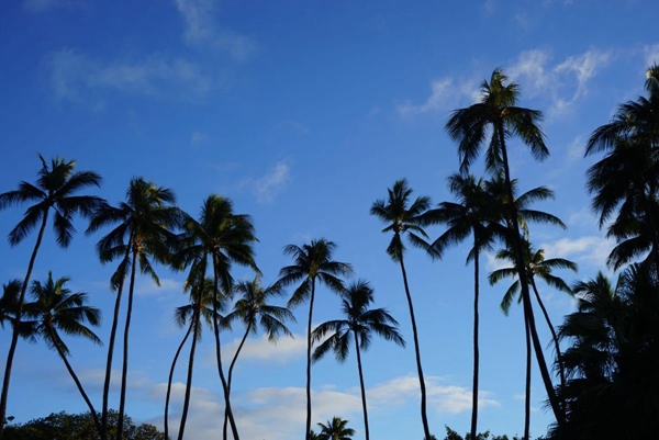 【夏威夷旅游】夏威夷最好玩的海滩在哪里？夏威夷旅游必去的海滩都有哪些？