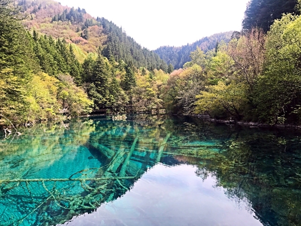 九寨沟门票多少？暑期去九寨沟旅游需要注意哪些事项？