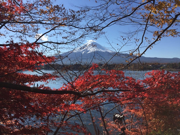 富士山在日本哪个城市？富士山旅游景点有哪些？