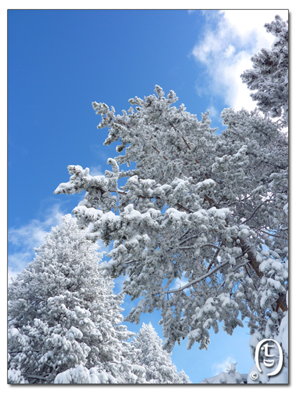 让暴风雪来得更猛烈些吧！_图5