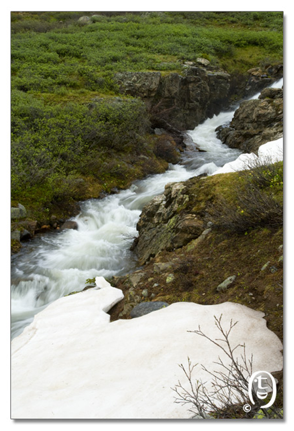 爬雪山过草地 – Lost Man Loop_图6