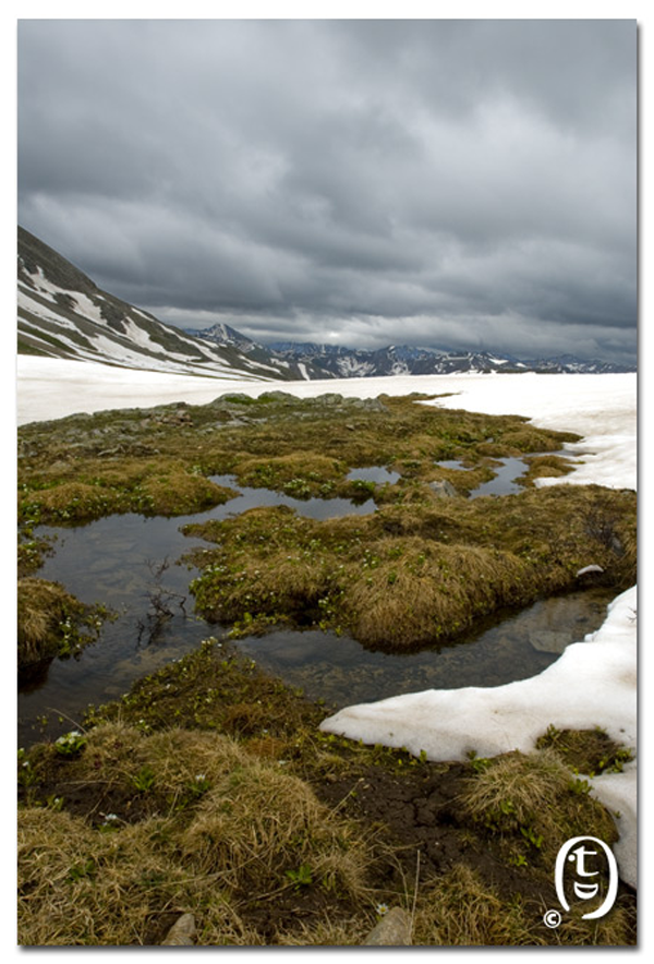 爬雪山过草地 – Lost Man Loop_图20