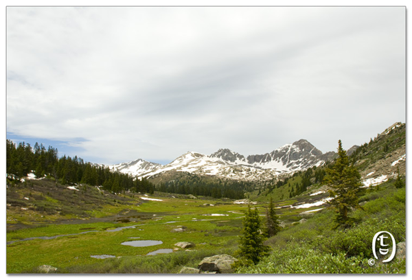 爬雪山过草地 – Lost Man Loop_图9