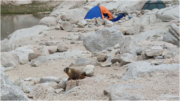 美国内陆最高山， Mt Whitney 一日游_图3