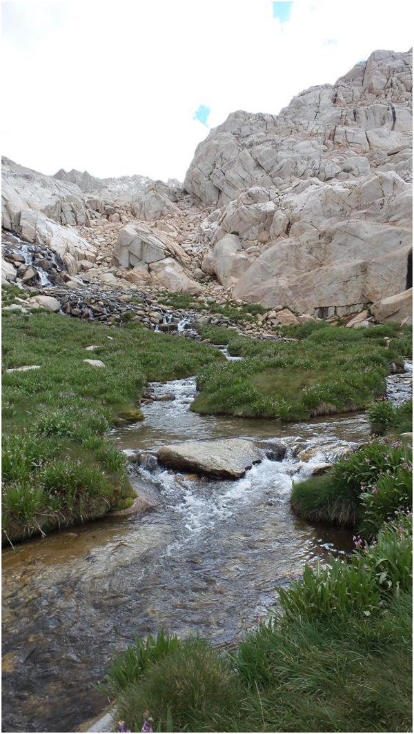 美国内陆最高山， Mt Whitney 一日游_图7