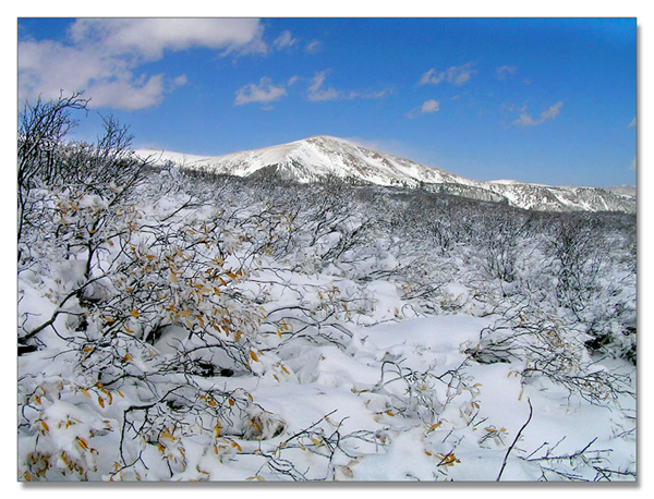 科罗拉多的冰天雪地_图9