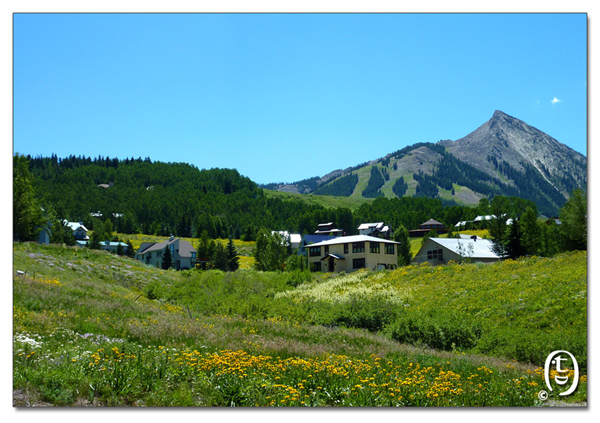 搞快点，搞快点，到科州来看花咯！- Crested Butte 的野花_图3