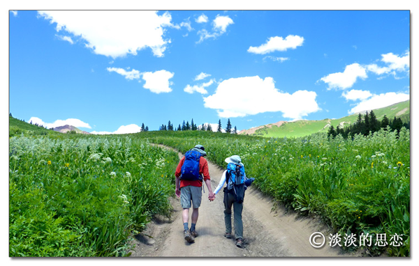 搞快点，搞快点，到科州来看花咯！- Crested Butte 的野花_图15