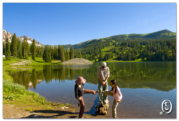 搞快点，搞快点，到科州来看花咯！- Crested Butte 的野花_图11