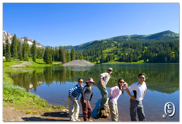 搞快点，搞快点，到科州来看花咯！- Crested Butte 的野花_图13