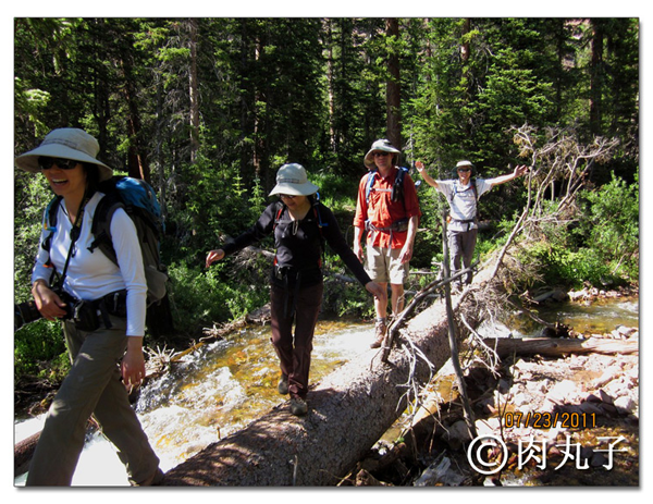 搞快点，搞快点，到科州来看花咯！- Crested Butte 的野花_图21