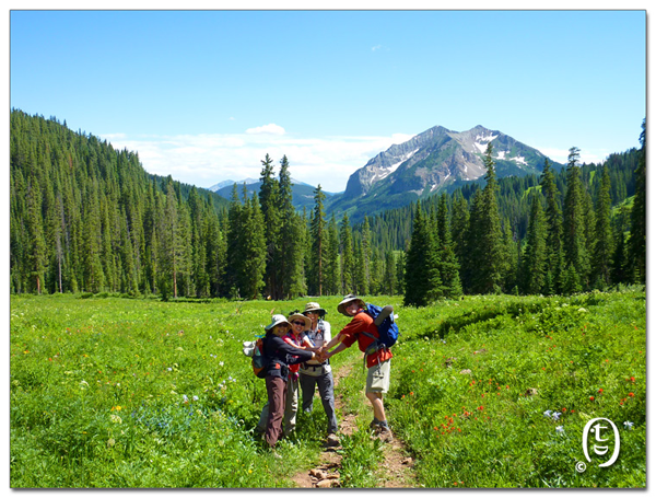 搞快点，搞快点，到科州来看花咯！- Crested Butte 的野花_图22