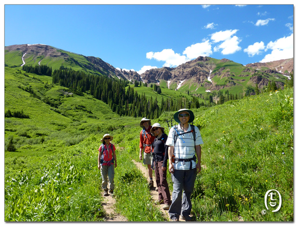 搞快点，搞快点，到科州来看花咯！- Crested Butte 的野花_图23