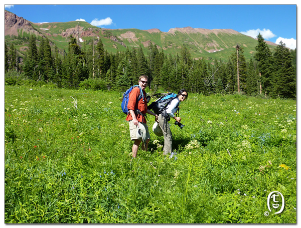 搞快点，搞快点，到科州来看花咯！- Crested Butte 的野花_图25