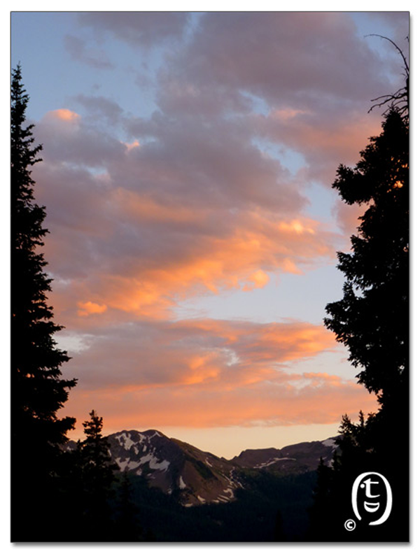 搞快点，搞快点，到科州来看花咯！- Crested Butte 的野花_图5