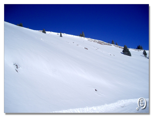 血淋淋的教训告诉你们滑雪设备和安全知识_图8