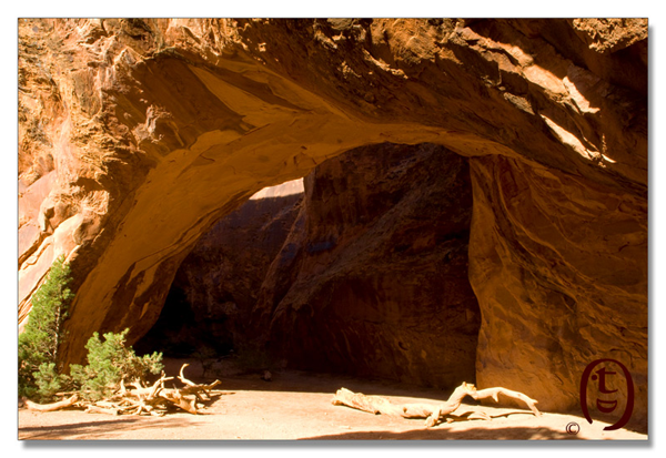 拱门国家公园/Arches National Park_图1