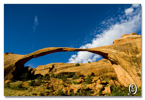 拱门国家公园/Arches National Park_图3