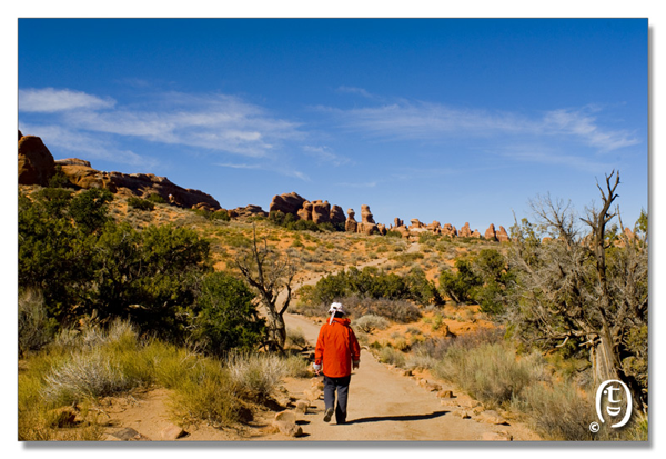 拱门国家公园/Arches National Park_图6