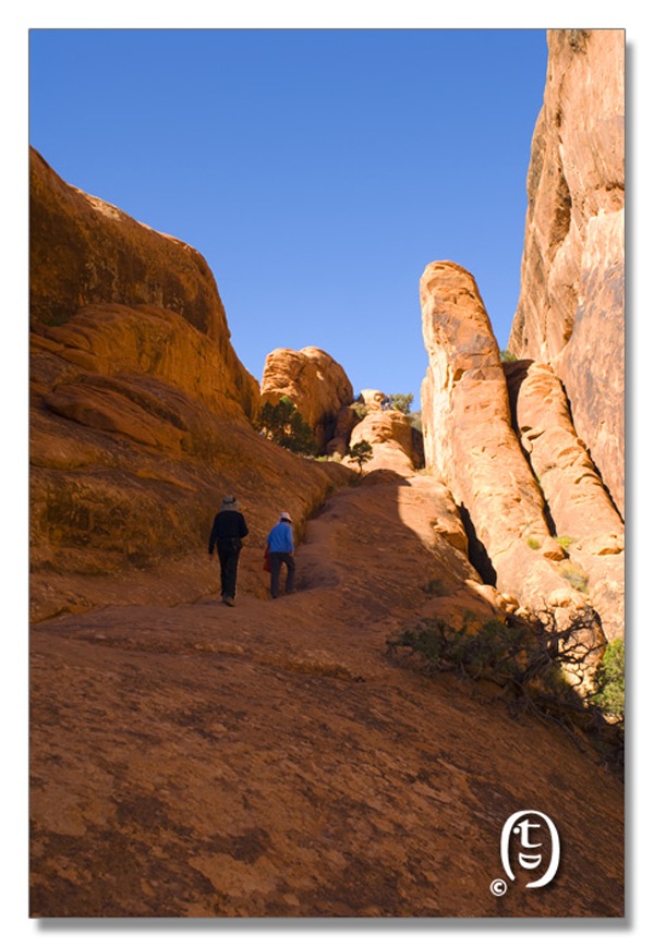 拱门国家公园/Arches National Park_图9