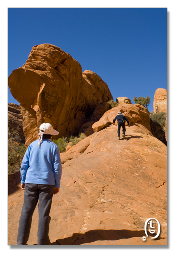 拱门国家公园/Arches National Park_图10