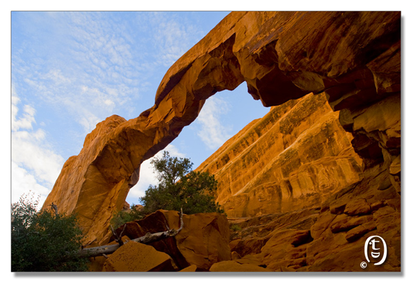 拱门国家公园/Arches National Park_图11