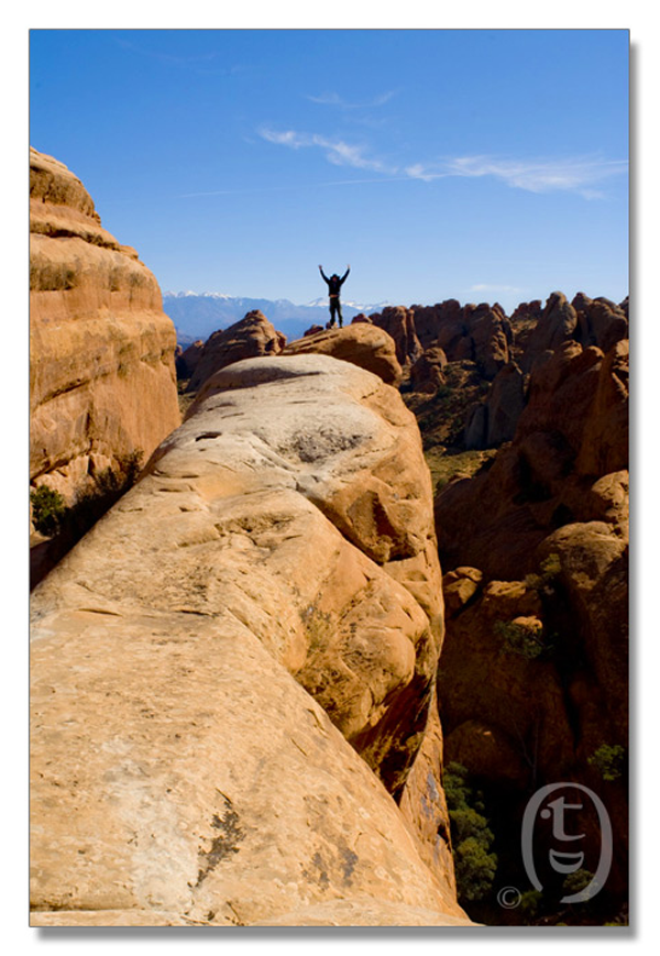 拱门国家公园/Arches National Park_图16