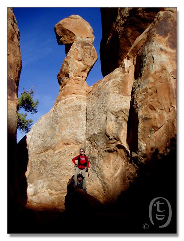 拱门国家公园/Arches National Park_图6