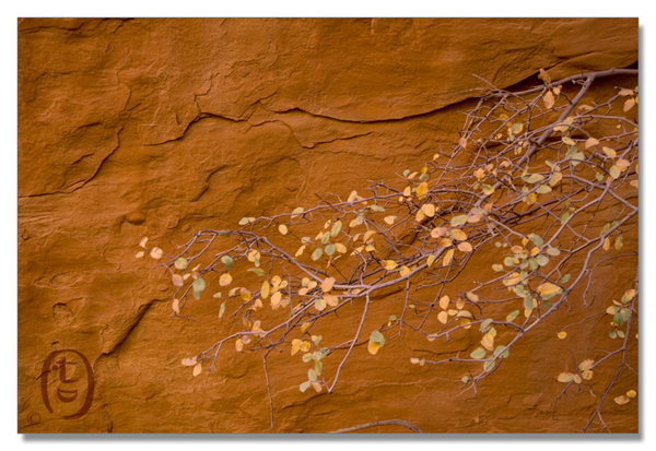 拱门国家公园/Arches National Park_图8