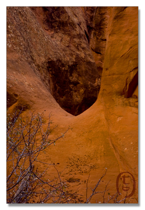 拱门国家公园/Arches National Park_图9