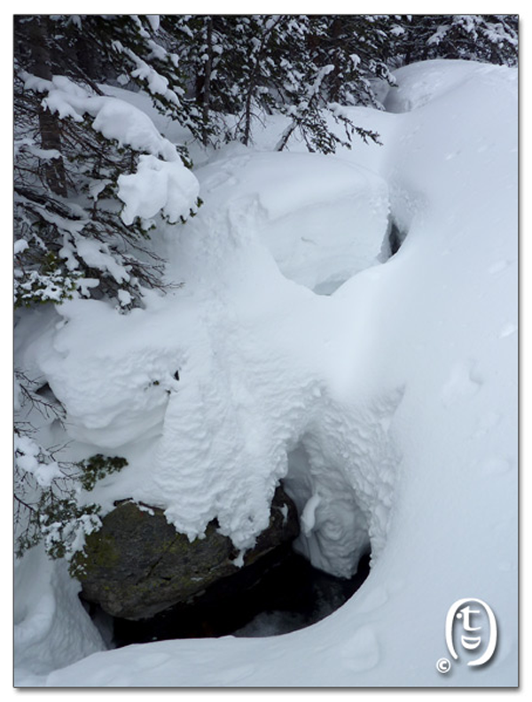 和熊猫情侣爬雪山去_图4