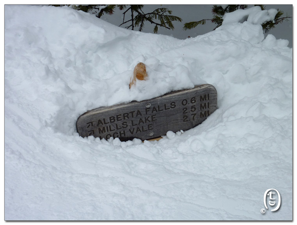 和熊猫情侣爬雪山去_图1