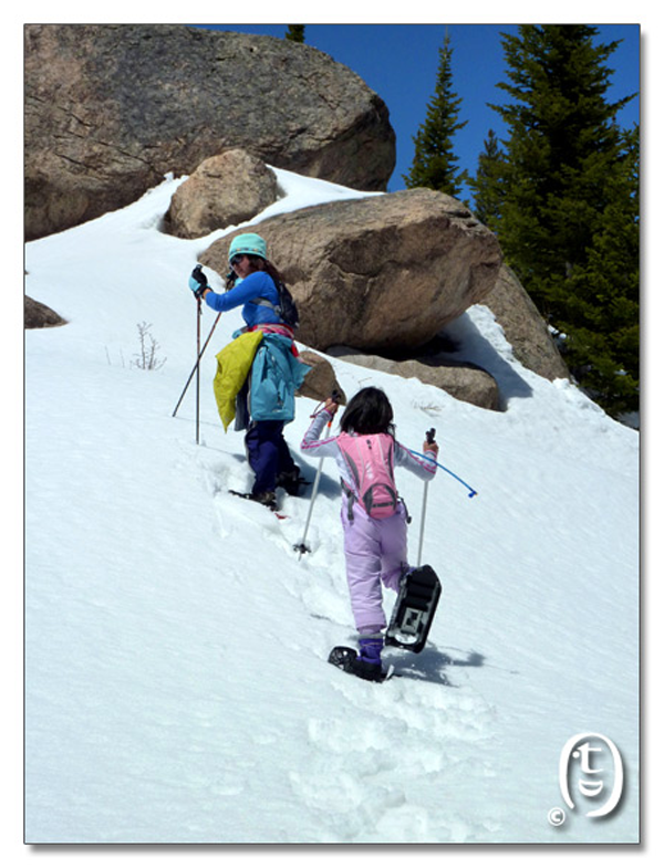 把大家忽悠爬雪山去，熊猫跪拜媳妇_图2