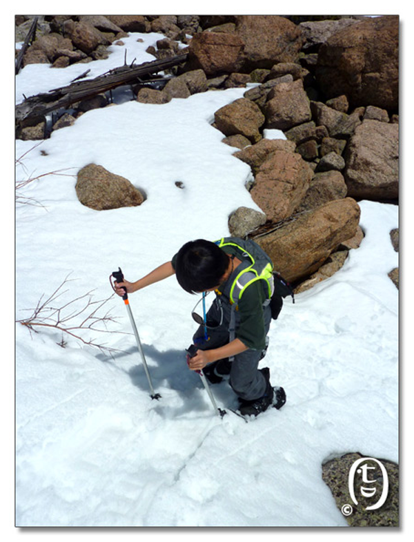 把大家忽悠爬雪山去，熊猫跪拜媳妇_图4