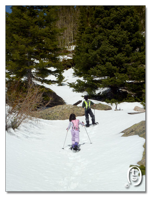 把大家忽悠爬雪山去，熊猫跪拜媳妇_图5